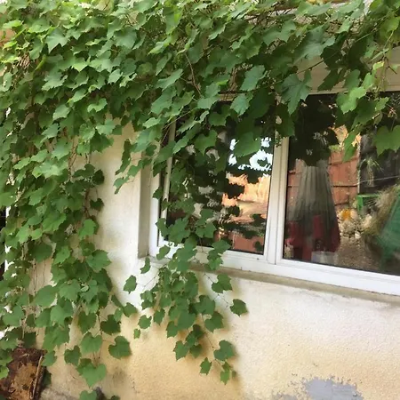 Casa Adrian-camere Centru Istoric Проживання в сім'ї *